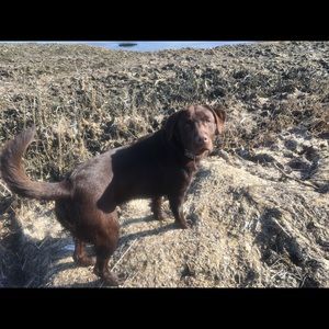 Meet your Posher, Kaitlin